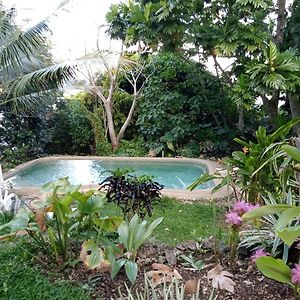 Studio Garden View
